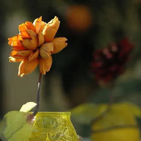 Bed & Breakfast Villino Gregoraci Relais Santa Marinella