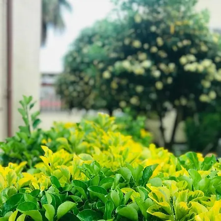 Villino Gregoraci Relais Alojamento de Acomodação e Pequeno-almoço