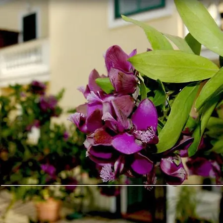 Villino Gregoraci Relais Santa Marinella